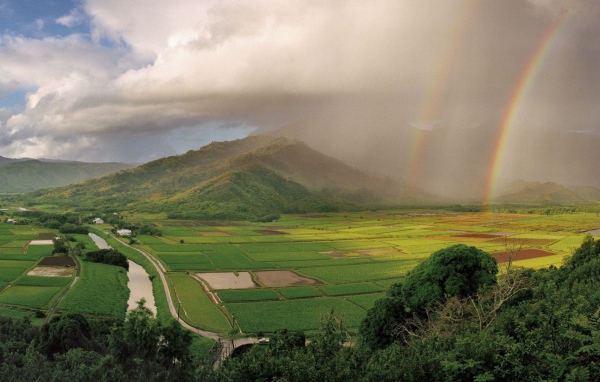 На Гавайях дождь