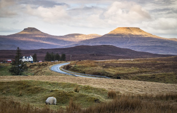 Дорога через поле в горы