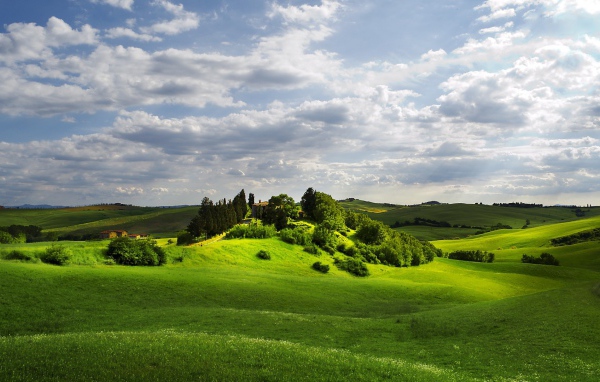 Изумрудно зеленые  холмы