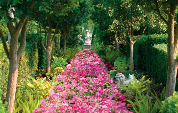 Аллея засаженная цветами