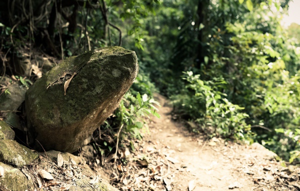 Камень у дороги