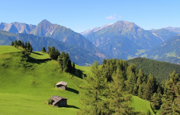 Альпийские луга и голубая даль