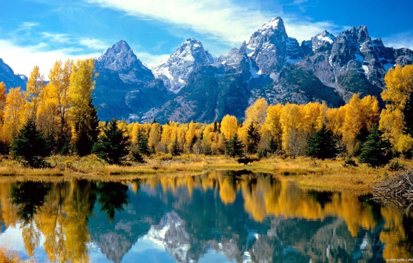 Осень в лесу у подножия гор