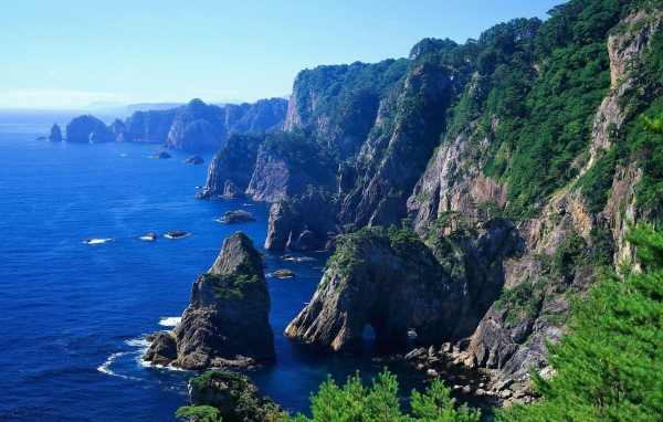 На скалах растет лес