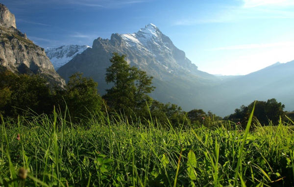 Горы и деревья