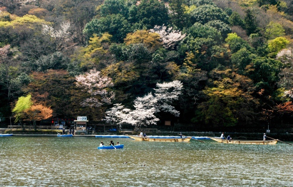 Катание на лодках