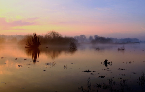 Туман над озером осенью