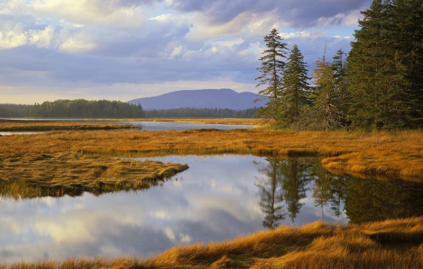 Озеро заросшее травой