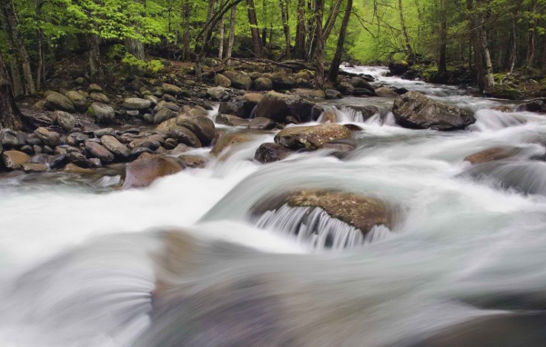 Национальный парк Теннессее
