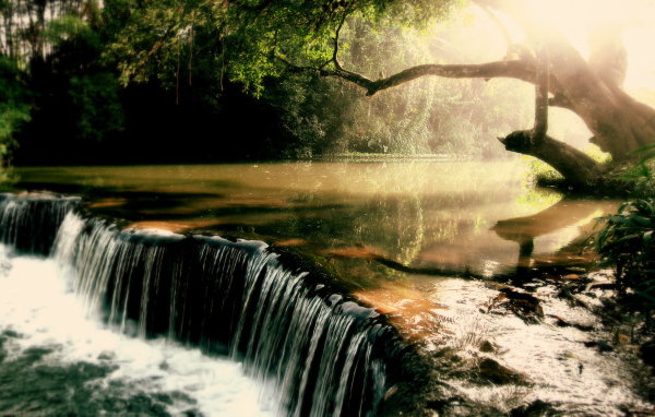 Заросшая река с водопадом