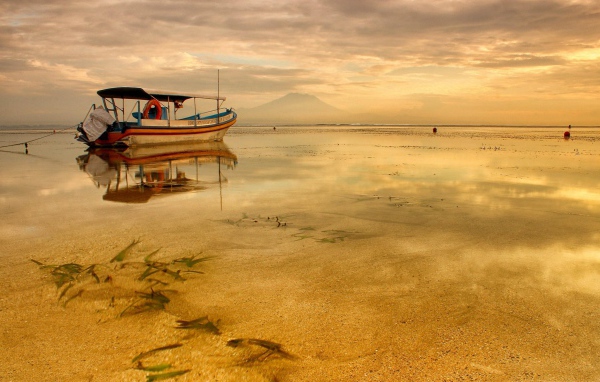 Тихое утро на озере