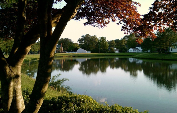 Тихий пруд в Германии