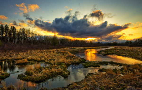 Закат над болотом