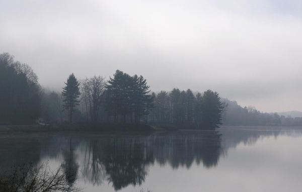 Озеро в туманное утро