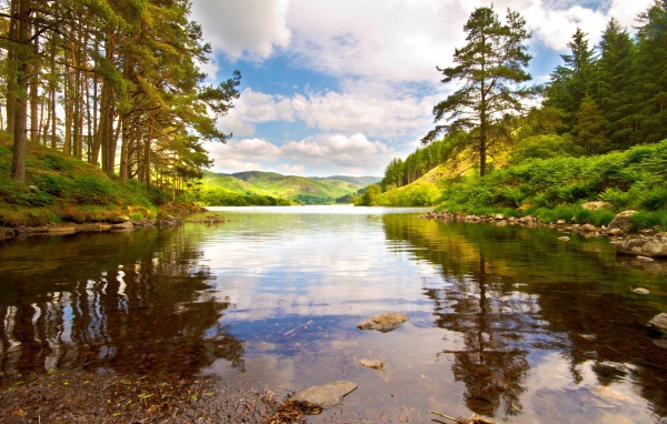 Лесное озеро среди холмов