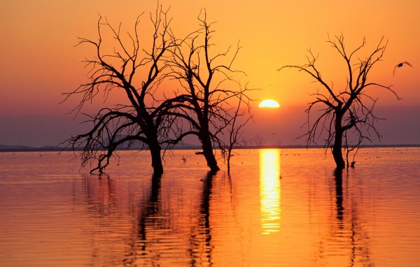 Весеннее половодье в Калифорнии