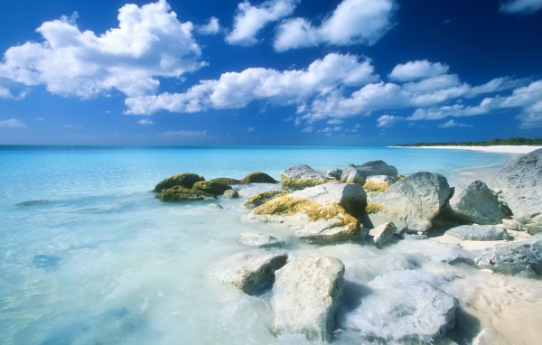 Каменистый берег и синее море