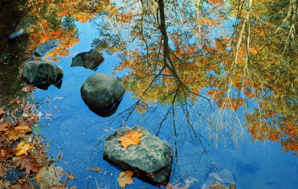 Autumn reflection in water