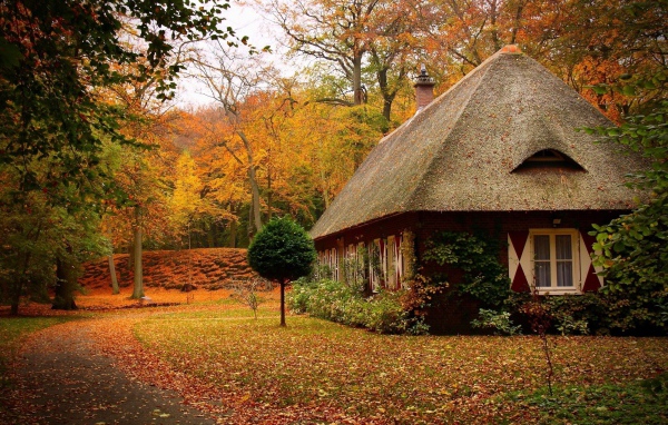 Маленький дом в лесу осенью