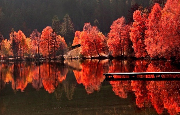 Красная осень на пруду