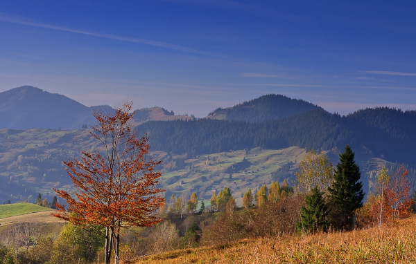 Осенью в Румынии