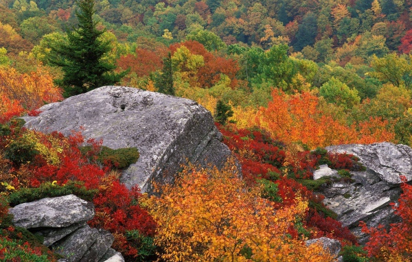 The beauty of autumn in the mountains