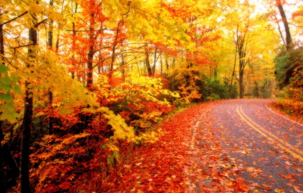 Вы и не может видеть дорогу осенью