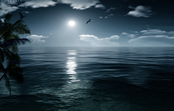 Птица летит на закате