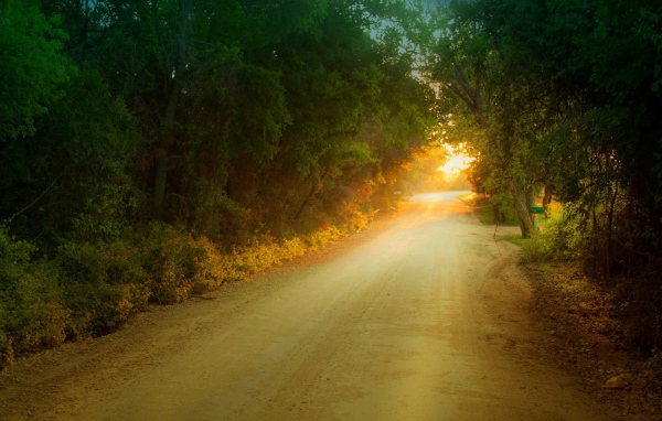 Солнце в дорожном просвете