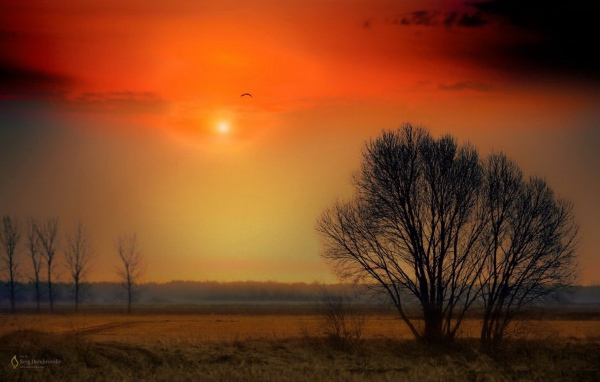 Красочный закат над полем