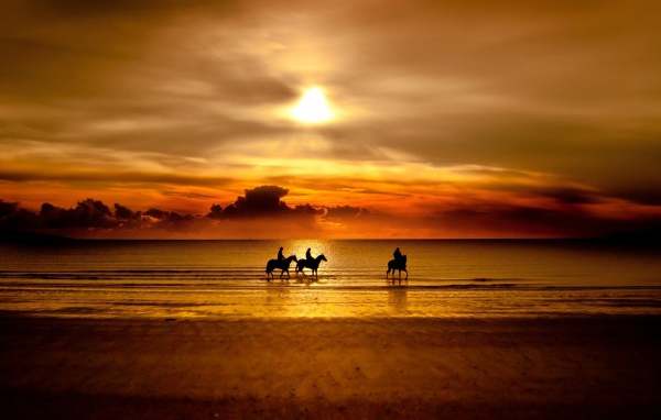 Всадники на лошадях на пляже