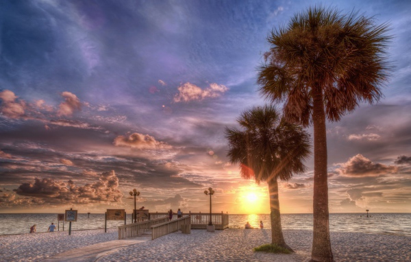 Закат на пляже с пальмами