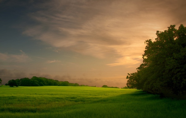 Закат на зеленом поле