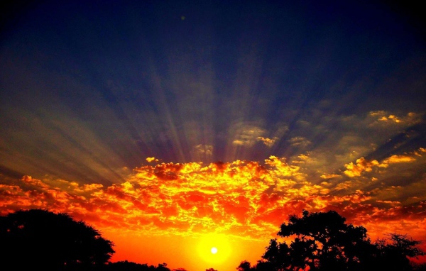 Лучи солнца