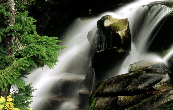 Водопад среди деревьев