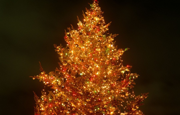 Яркая Новогодняя елка