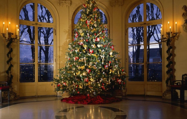 Новогодняя елка в кремле 2014