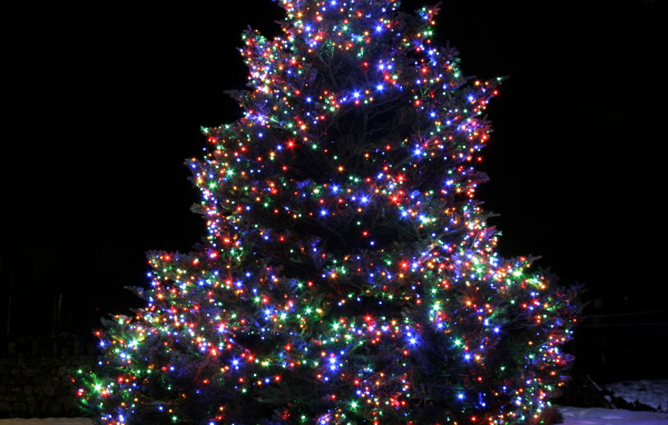 Красочная Новогодняя елка