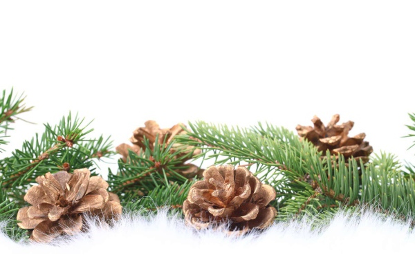 Гирлянда еловая