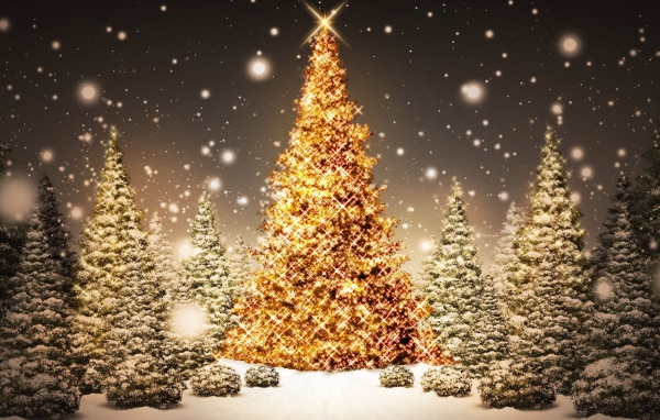 Растущая Новогодняя елка