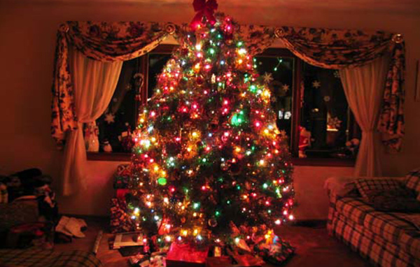 Огромная Новогодняя елка