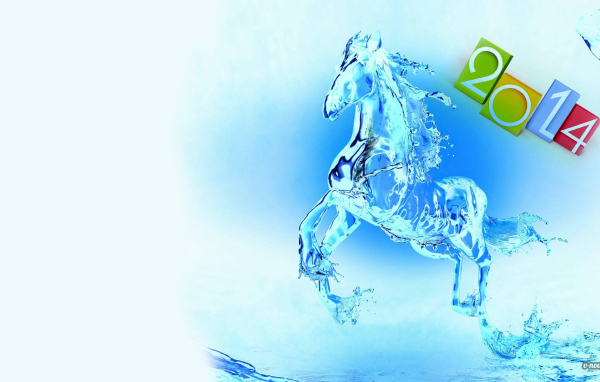 Новый год 2014 и лошадь из воды