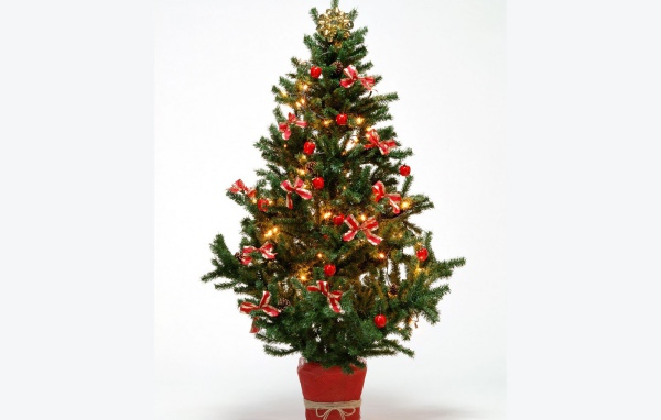 Новогодняя елка 2014 на белом фоне