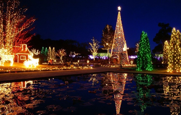 Новогодняя елка в хорошо украшенном районе