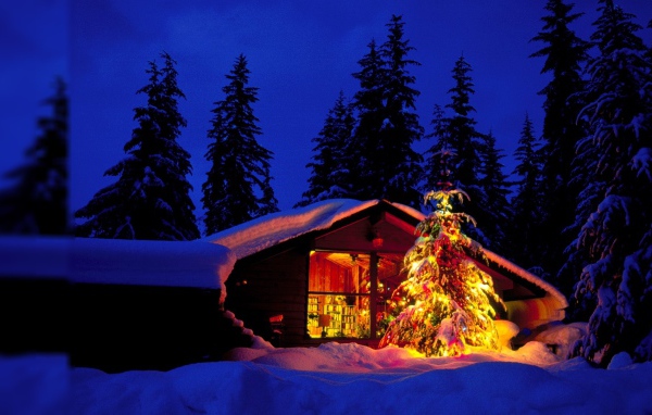 Новогодняя елка возле лесной хижины