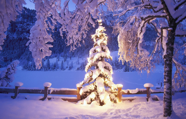 Новогодняя елка под снегом