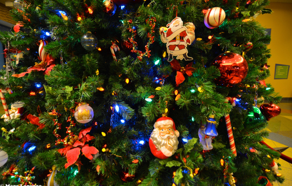 Новогодняя елка с Дедом Морозом