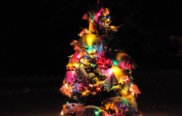 Наша маленькая Новогодняя елка