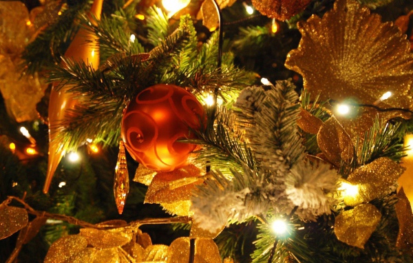 расивая Новогодняя елка с небольшой красный игрушкой