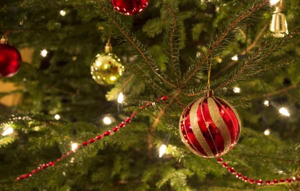 Красная игрушка на новогодней елкe